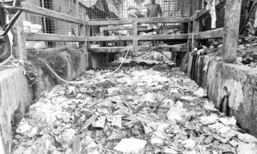 বংশ খাল এখন ভাগাড়