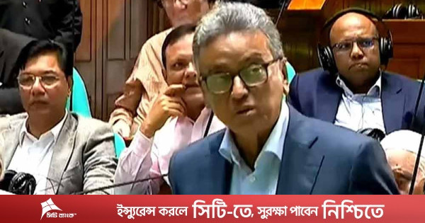 এস আলম গ্রুপের সঙ্গে বিএনপি সরকারের সমঝোতা হয়নি— সংসদে অর্থমন্ত্রী