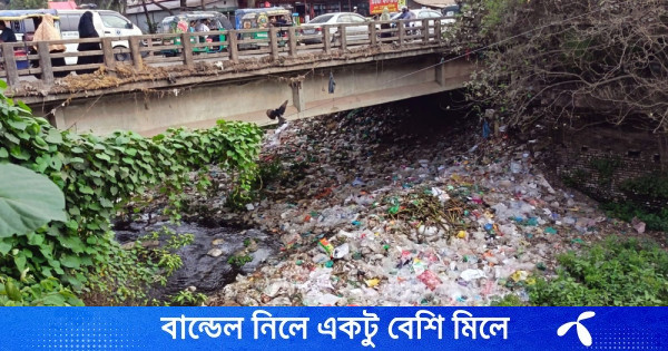 কুমিল্লার বাগমারা বাজারে ময়লা নদী ও সড়কে, বাড়ছে দূষণ