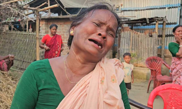 সীমান্তে ছবি তোলার সময় ২ স্কুলছাত্রকে ধরে নিয়ে গেছে বিএসএফ