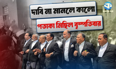 ভার্চুয়াল বিচারকার্য প্রত্যাহারের দাবিতে আজও উত্তাল সুপ্রিম কোর্ট