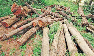 এসএসসির প্রস্তুতি : সিন কমপ্রিহেনশন