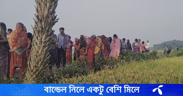 বেনাপোলে ধানক্ষেত থেকে মরদেহ উদ্ধার, এলাকায় চাঞ্চল্য