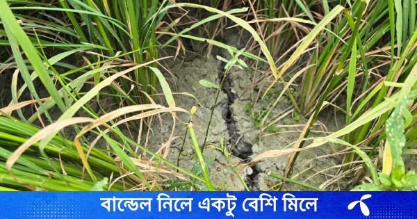 বিদ্যুৎ ও তেল সংকটে বাঞ্ছারামপুরের কৃষকরা