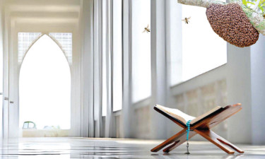 মৌমাছির স্বভাব ও মুমিনের জ্ঞানতৃষ্ণা