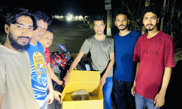 রাঙামাটিতে বিরল প্রজাতির লজ্জাবতী বানর উদ্ধার