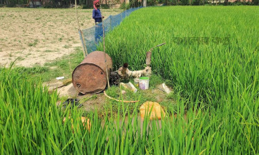 দামুড়হুদায় তেলের অভাবে সেচ বন্ধ, দুশ্চিন্তায় কৃষক