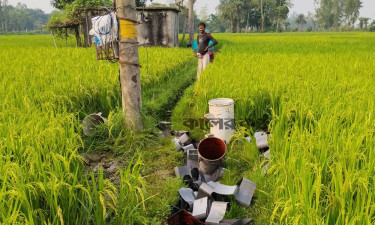 চাঁদা না পেয়ে অপারেটরকে মারধর করে ট্রান্সফরমারের কয়েল লুটের অভিযোগ