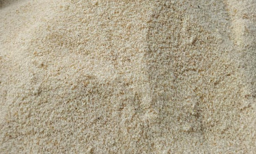 দামুড়হুদায় টিসিবির নিম্নমানের চাল বিতরণের অভিযোগ