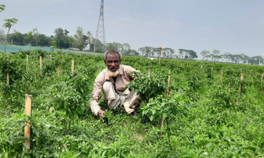 ‘তেল নাই, বিদ্যুৎ নাই; আল্লাহর বৃষ্টিই ভরসা’