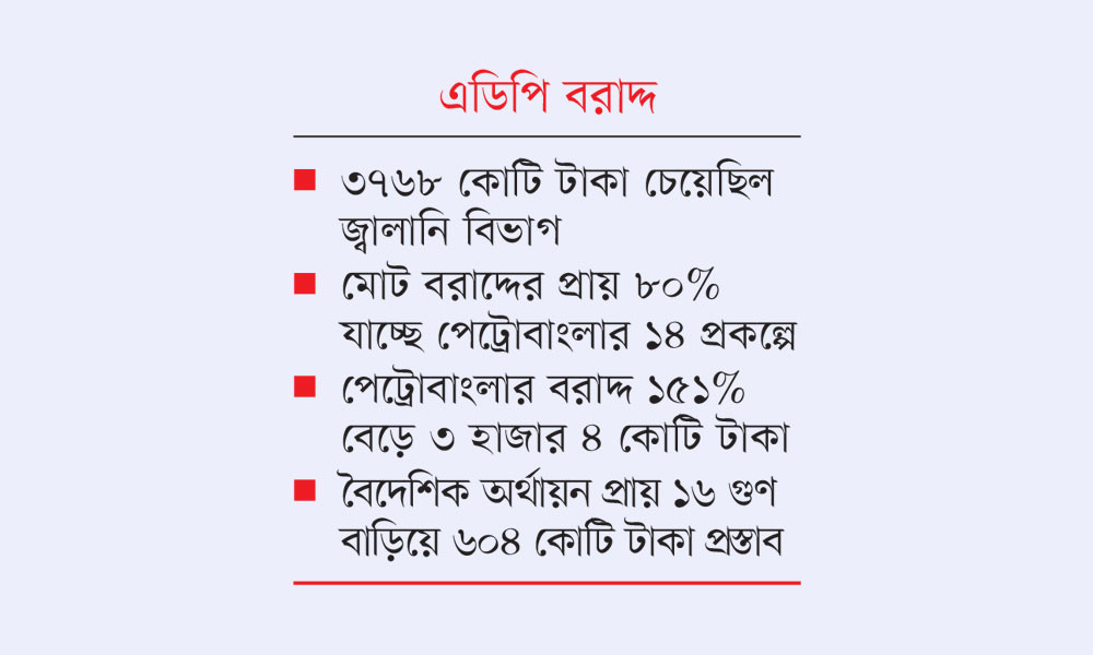 জ্বালানি বিভাগকে ২২৫১ কোটি দিচ্ছে সরকার