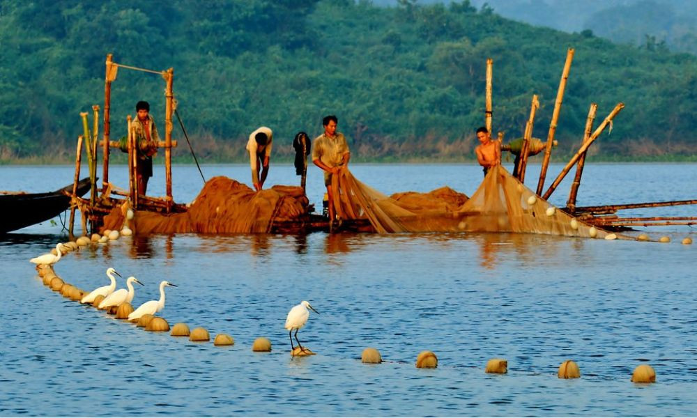 কাপ্তাই হ্রদে তিন মাস মাছ ধরায় নিষেধাজ্ঞা