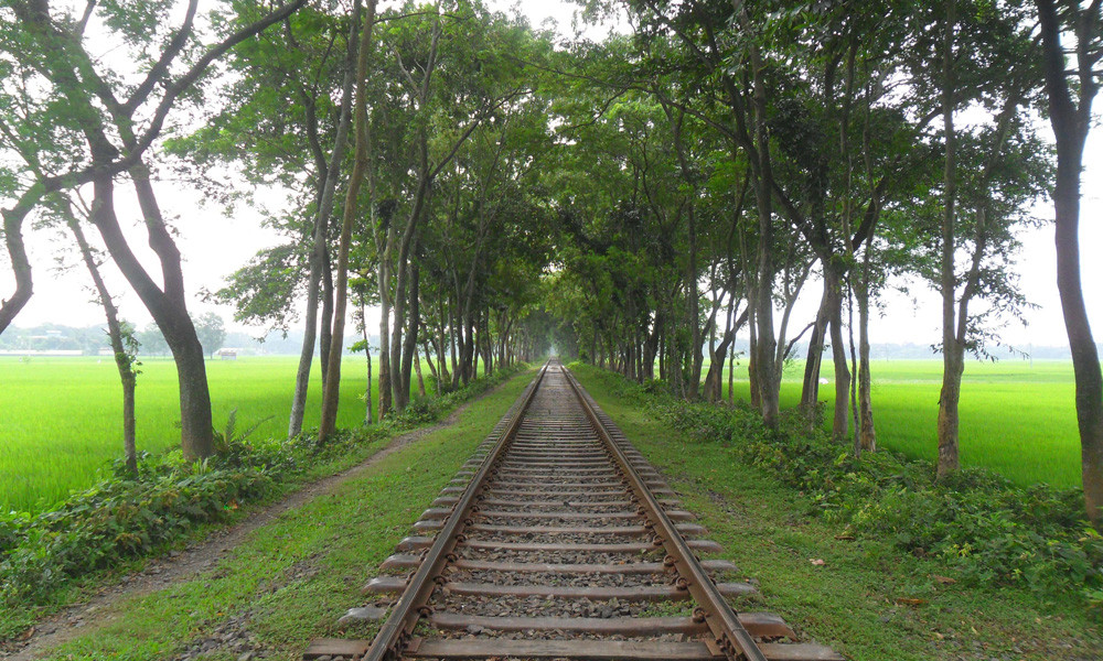 রেললাইনে বসে ‘গাঁজা সেবন’, ট্রেনে কাটা পড়ে প্রাণ গেল যুবকের