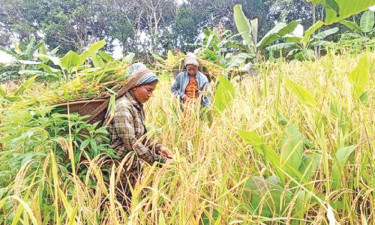 পঞ্চম শ্রেণি : বাংলাদেশের ক্ষুদ্র নৃগোষ্ঠী