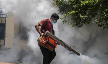 মশক নিয়ন্ত্রণে জনসচেতনতা, মাংস ব্যবসায়ীদের ফি দিতে নির্দেশ