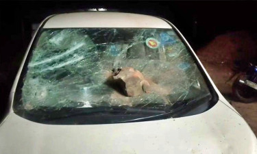 জামায়াত এমপির গাড়িতে হামলার ঘটনায় গোলাম পরওয়ারের নিন্দা