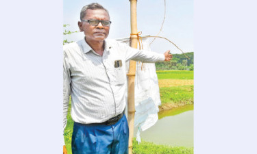 পাখির পরম ভরসা সায়েদ