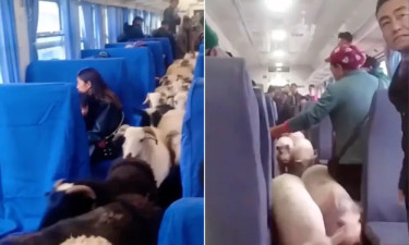 অন্যরকম এক চীনের দেখা মিললো নেট দুনিয়ায়