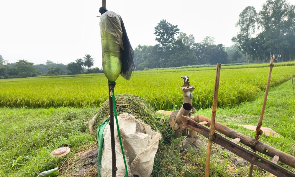 জ্বালানিসংকটে কৃষকের ভোগান্তি চলছেই