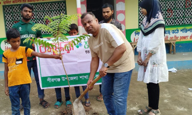 পীরগঞ্জে বসুন্ধরা শুভসংঘের উদ্যোগে বৃক্ষরোপণ কর্মসূচি