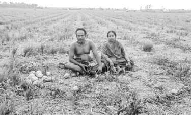 কীটনাশকে সর্বস্বান্ত তরমুজ চাষি