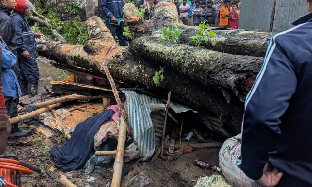 কালবৈশাখী ঝড়ে দোকান লণ্ডভণ্ড : গাছচাপায় ব্যবসায়ীর মৃত্যু