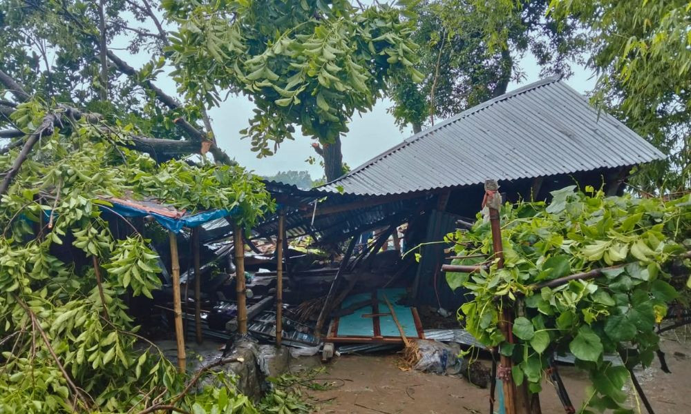 জামালপুরে কালবৈশাখী ঝড়ে গাছ পড়ে মা ও ২ মেয়ের মৃত্যু