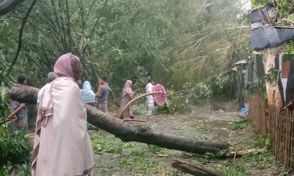 ঝড়ে ঘরবাড়ি লণ্ডভণ্ড, গাছের নিচে চাপা পড়ে নারীর মৃত্যু