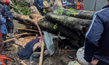 কালবৈশাখী ঝড়ে দোকান লণ্ডভণ্ড : গাছচাপায় ব্যবসায়ীর মৃত্যু