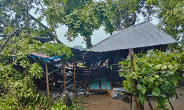 জামালপুরে কালবৈশাখী ঝড়ে গাছ পড়ে মা ও ২ মেয়ের মৃত্যু