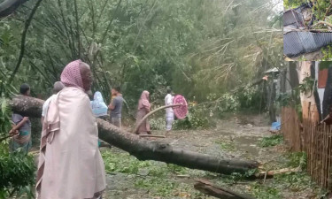 ঝড়ে ঘরবাড়ি লণ্ডভণ্ড, গাছের নিচে চাপা পড়ে নারীর মৃত্যু