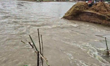 হাওরের বাঁধ ভেঙে তলিয়ে যাচ্ছে ফসলি জমি