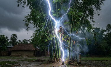 বোয়ালখালীতে বিদ্যুৎস্পর্শে যুবকের মৃত্যু