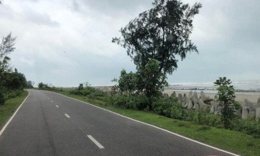 গাছ না কেটে মেরিন ড্রাইভ সড়ক প্রশস্তকরণের নির্দেশ প্রধানমন্ত্রীর