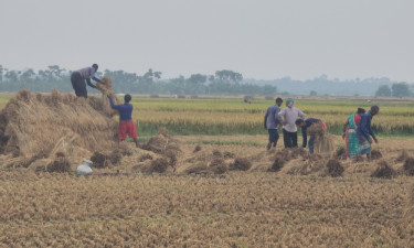 কিভাবে আমরা ফসল বানাব, আমাগো বাঁচাই কঠিন হয়ে গেছে