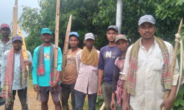 ব্রাহ্মণবাড়িয়ায় ধান কাটার শ্রমিকদের টুপি উপহার দিল বসুন্ধরা শুভসংঘ