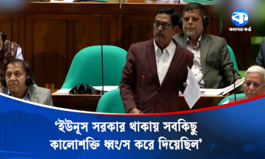 তারা আমাকে ‘ফজা পাগলা’ বলে, তারা নাকি সভ্য
