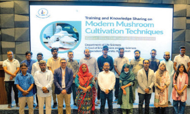 আইইউবিতে আধুনিক মাশরুম চাষ নিয়ে কর্মশালা