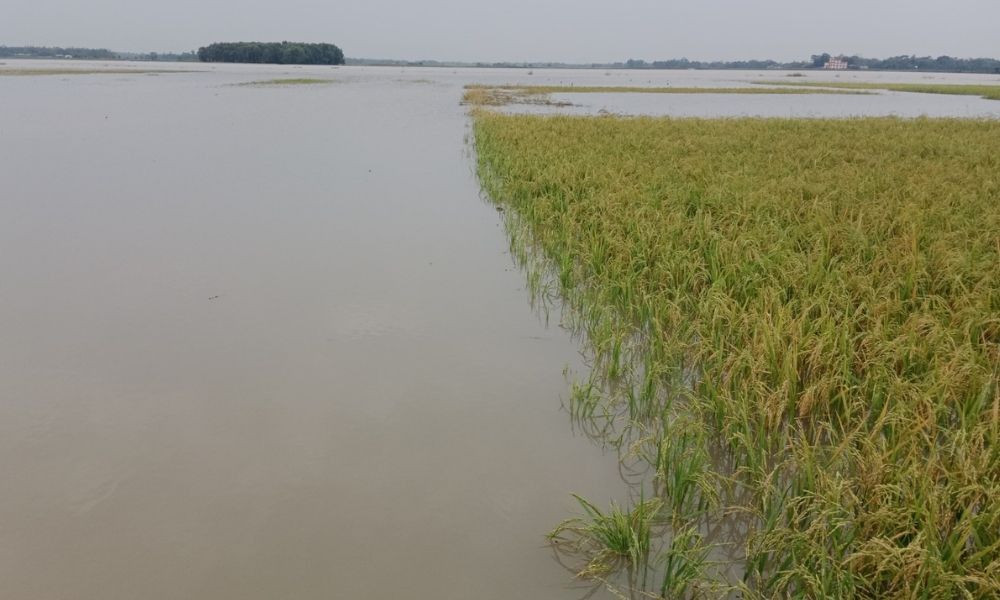 হাওরাঞ্চলে বাড়ছে নদ-নদীর পানি, ৩ দিন সতর্ক থাকার পরামর্শ