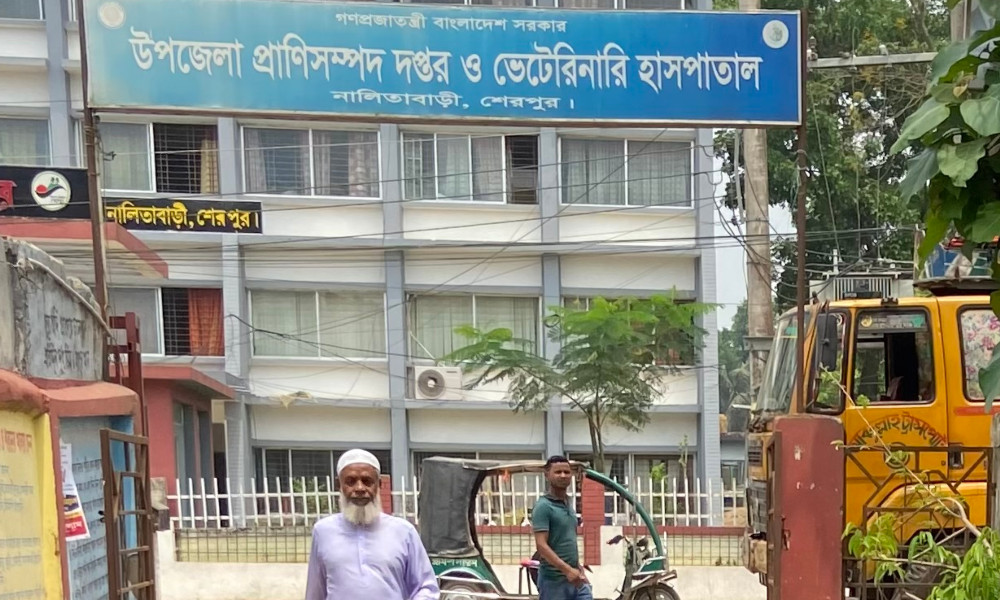 নালিতাবাড়ীতে গণশৌচাগার সংকটে ভোগান্তি