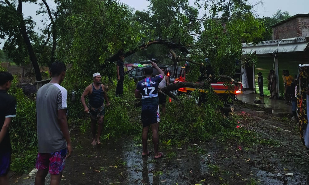 কালবৈশাখীর তাণ্ডব টেকনাফে— উপড়ে গেছে গাছ, কৃষিতে ব্যাপক ক্ষতি