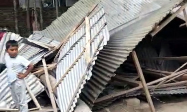 নড়াইলে বিদ্যালয়ের ওপর গাছ পড়ে তিন শিশু আহত