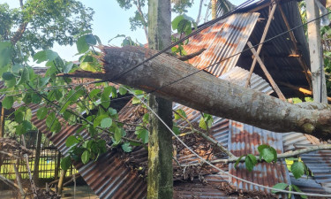 কুড়িগ্রামে কালবৈশাখী ঝড়ে ঘরবাড়িসহ ফসলের ব্যাপক ক্ষতি