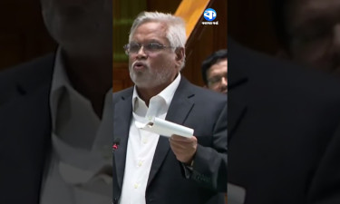 ইলিয়াস আলীর কবর কোথায়? গুম নিয়ে ক্ষোভ আমানউল্লাহ আমানের
