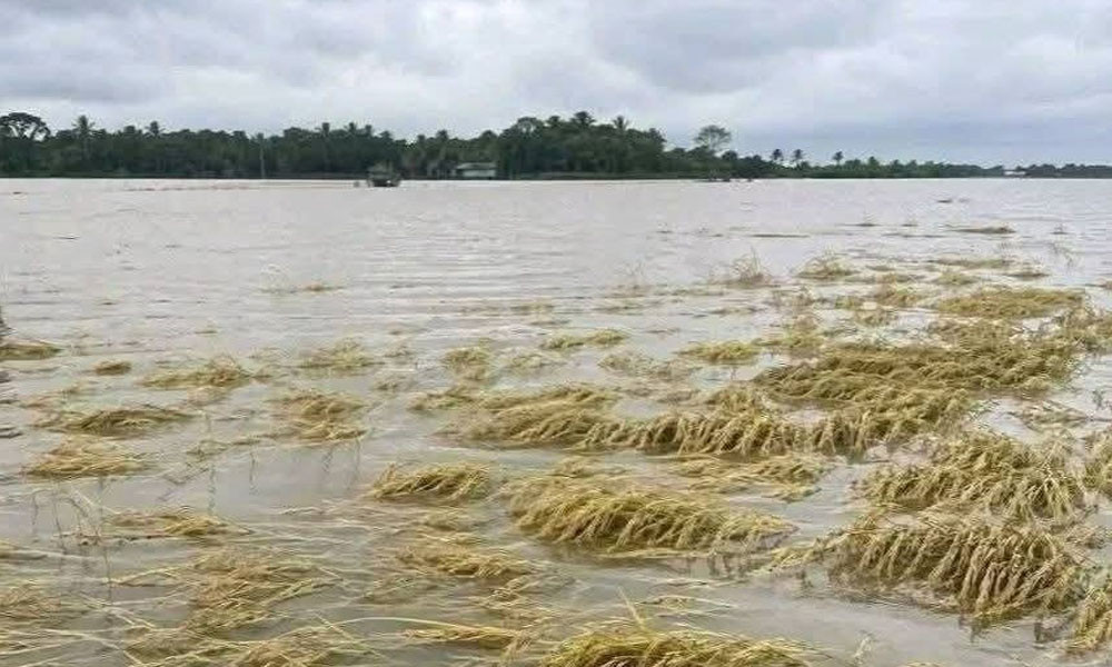 জুড়ীতে বিপৎসীমার ওপরে, অন্য নদ-নদীর পানি কমছে