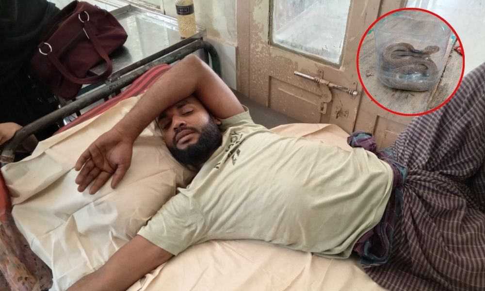 সদরপুরে ছোবল দেওয়া জীবিত গোখরা সাপ নিয়ে হাসপাতালে যুবক