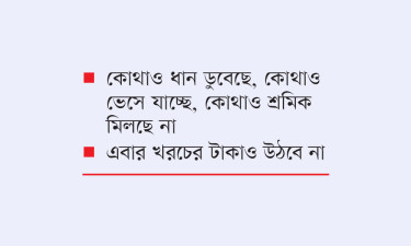 কাঁদছেন হাওরের কৃষকরা