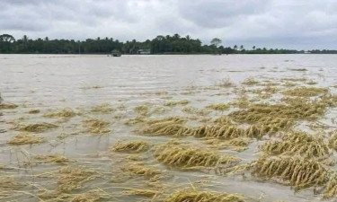 জুড়ীতে বিপৎসীমার ওপরে, অন্য নদ-নদীর পানি কমছে