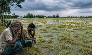 চোখের সামনে ডুবছে স্বপ্ন, কান্নায় ভেঙে পড়েছেন কৃষকরা