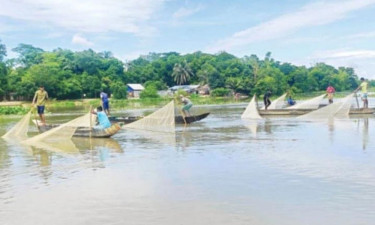 হালদায় নমুনা ডিম ছেড়েছে মা মাছ, রাতে পূর্ণাঙ্গ ডিম ছাড়ার সম্ভাবনা